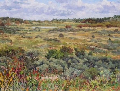 Wei van Brasser - Castricum, olieverf, 32 x 42 cm, huile, 9/2012, Castricum