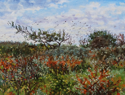 Duinen bij Castricum, olieverf, 19 x 25 cm, 10/2013, huile, Dunes à Castricum