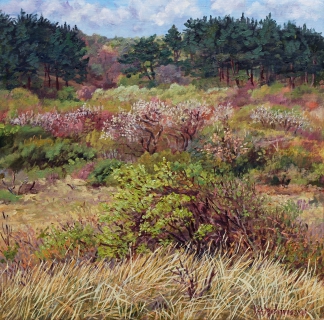 Duinen bij Castricum, olieverf, 35 x 35 cm, 4/2014, huile, Dunes à Castricum