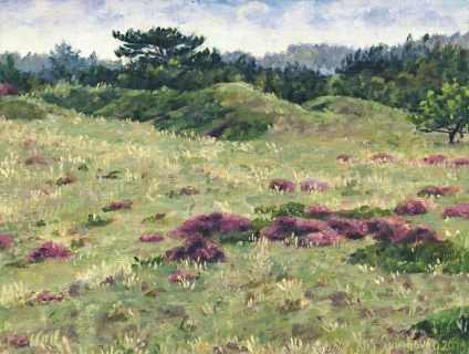 Lange Vlak - Bergen, olieverf, 19 x 25 cm, 9/2014, huile, Bruyère en fleurs à Bergen