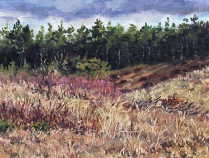 Het duin bij Bergen, olieverf, 19 x 25 cm, 2/2015, huile, Les dunes à Bergen