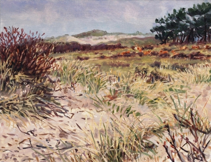 Het duin bij Bergen, olieverf, 19 x 25 cm, 2/2015, huile, Les dunes à Bergen