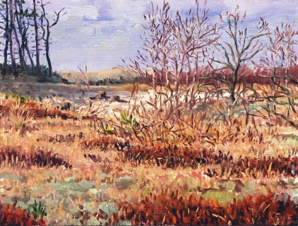 Het duin bij Bergen, olieverf, 19 x 25 cm, 2/2015, huile, Les dunes à Bergen