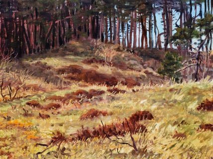 Het duin bij Bergen, olieverf, 19 x 25 cm, 2/2015, huile, Les dunes à Bergen