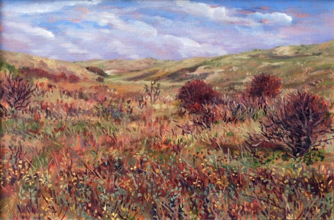 Duin bij Castricum, olieverf, 26 x 39 cm, 10/2015, huile, Les dunes à Castricum