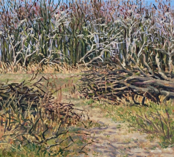 Infiltratiegebied Castricum, olieverf, 29 x 32 cm, 4/2016, huile, Zone d’infiltration à Castricum