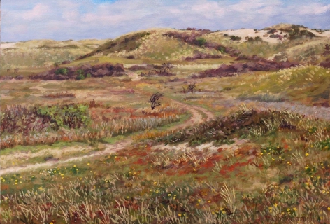 Duin bij Castricum, olieverf, 26 x 38 cm, 5/2016, huile, Les dunes à Castricum