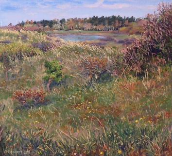 Wei van Brasser - Castricum, olieverf, 29 x 32 cm, 5/2016, huile, Les dunes à Castricum