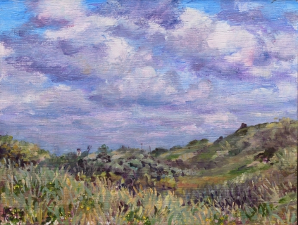 Zuidduinen Katwijk, olieverf, 18 x 24 cm, 7/2017, huile, Dunes à Katwijk