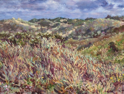 Zuidduinen Katwijk, olieverf, 19 x 25 cm, 7/2017, huile, Dunes à Katwijk