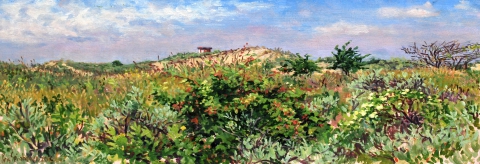 Vlaggeduin Katwijk, olieverf, 19 x 46 cm, 6/2018, huile, Katwijk