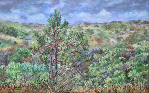 Berkheide - Katwijk, olieverf, 20 x 38 cm, 6/2025, huile,  Katwijk