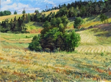 Col de St. Sébastien, olieverf, 19 x 26 cm, 7/2015, huile, Col de St. Sébastien