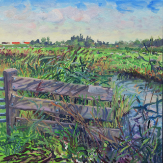 t Twiske, olieverf, 35 x 35 cm, 9/2023, huile,  't Twiske