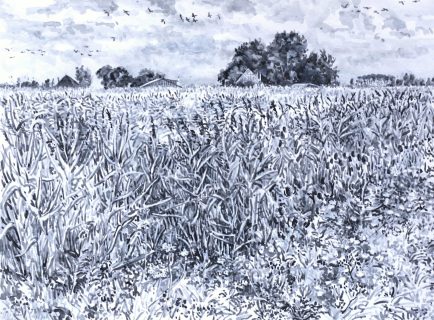 Vogelmeerpolder, sumi-inkt, 30 x 40 cm, 8/2025, encre sumi, Vogelmeerpolder
