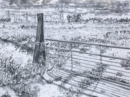 Waterland bij Zunderdorp, sumi-inkt, 30 x 40 cm, 8/2025, encre sumi, Waterland