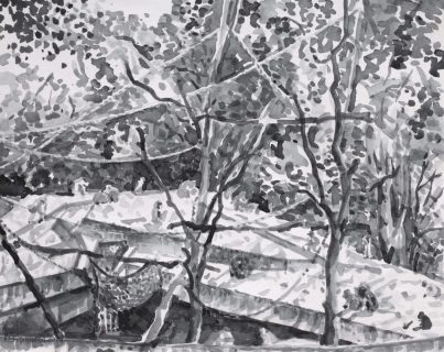 Apenrots in Artis, sumi inkt, 24 x 30 cm, 9/2018, encre sumi, Zoo d'Amsterdam