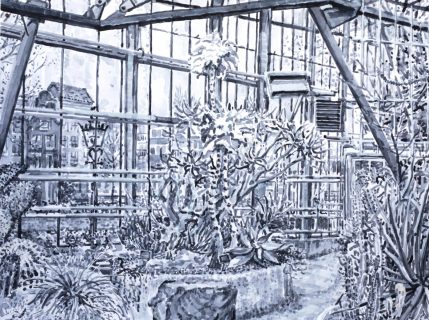 Hortus Botanicus Amsterdam, sumi-inkt, 30 x 40 cm, 3/2023, encre sumi, Hortus Botanicus Amsterdam
