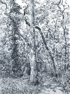 Park Sorghvliet Den Haag, sumi-inkt, 40 x 30 cm, 6/2023, encre sumi, La Haye