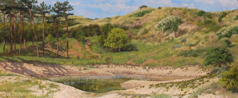 Duinen bij Egmond, olieverf, 19 x 46 cm, 6/2009, huile, Dunes à Egmond