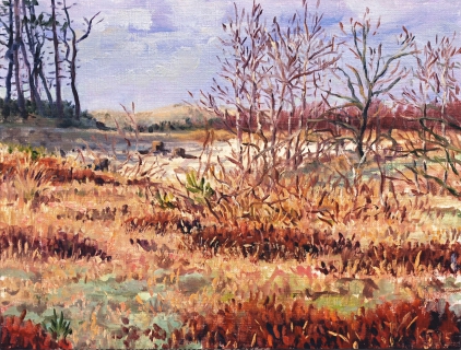 Het duin bij Bergen, olieverf, 19 x 25 cm, 2/2015, huile, Les dunes à Bergen