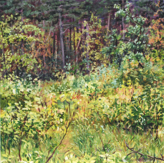 Castricum, olieverf, 35 x 35 cm, 5/2014, huile, Castricum